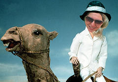 Media_httpwwwflickrco_oexgg