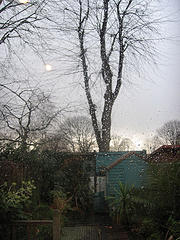 Media_httpphotos3flic_qylzt