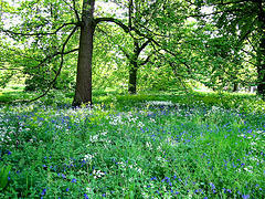 Media_httpphotos5flic_eyyif