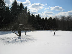 Media_httpphotos4flic_zfzch