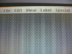 Media_httpphotos6flic_sivxe