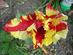 Media_httpphotos8flic_jvjgn