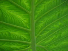 Media_httpphotos11fli_qguda