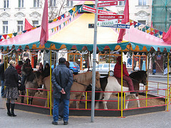 Media_httpstaticflick_hvjtx