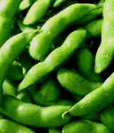 Media_httpphotos1blog_ehigi