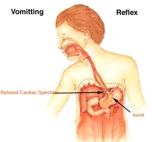 Media_httpphotos1blog_egxaj