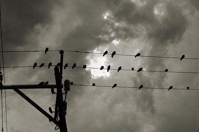 Media_httpbp3bloggerc_ihlor